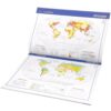 Atlas Geográfico Escolar (68 Páginas)