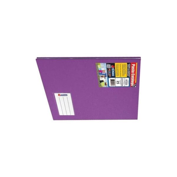 Pasta Catálogo C/ 25 Envelopes Plásticos Violeta Chies - Image 2