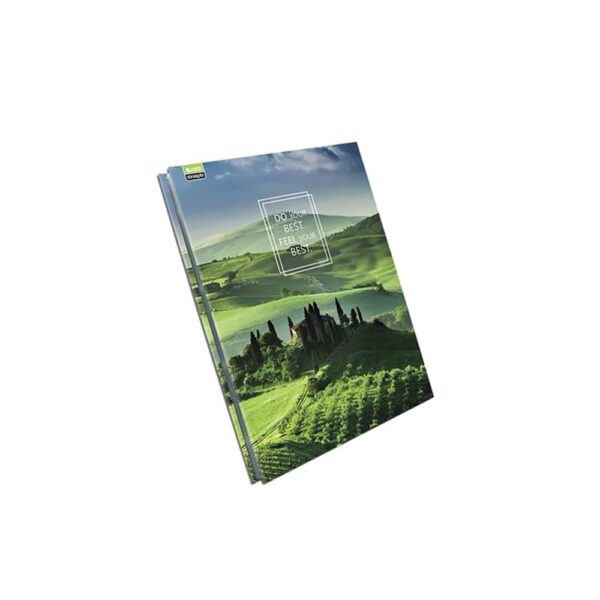 PASTA CATALOGO CASTELO C/25 SACOS 5615-8 CHIES