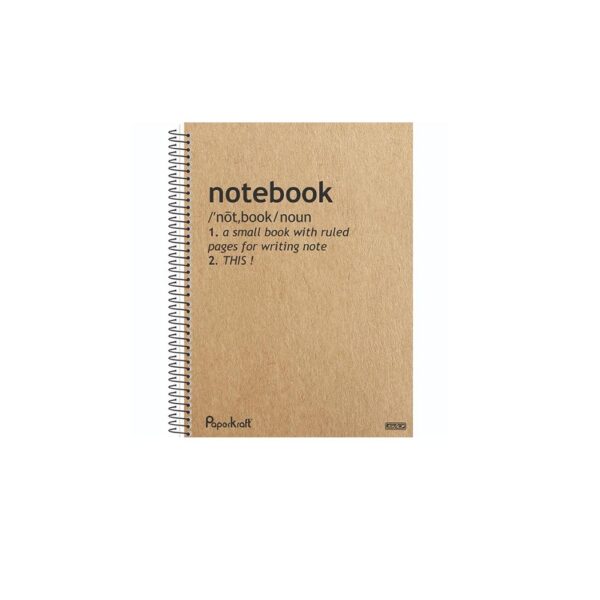CADERNO UNIV CD 10X1 160F BOLSA PAPERKRAFT MASC SD